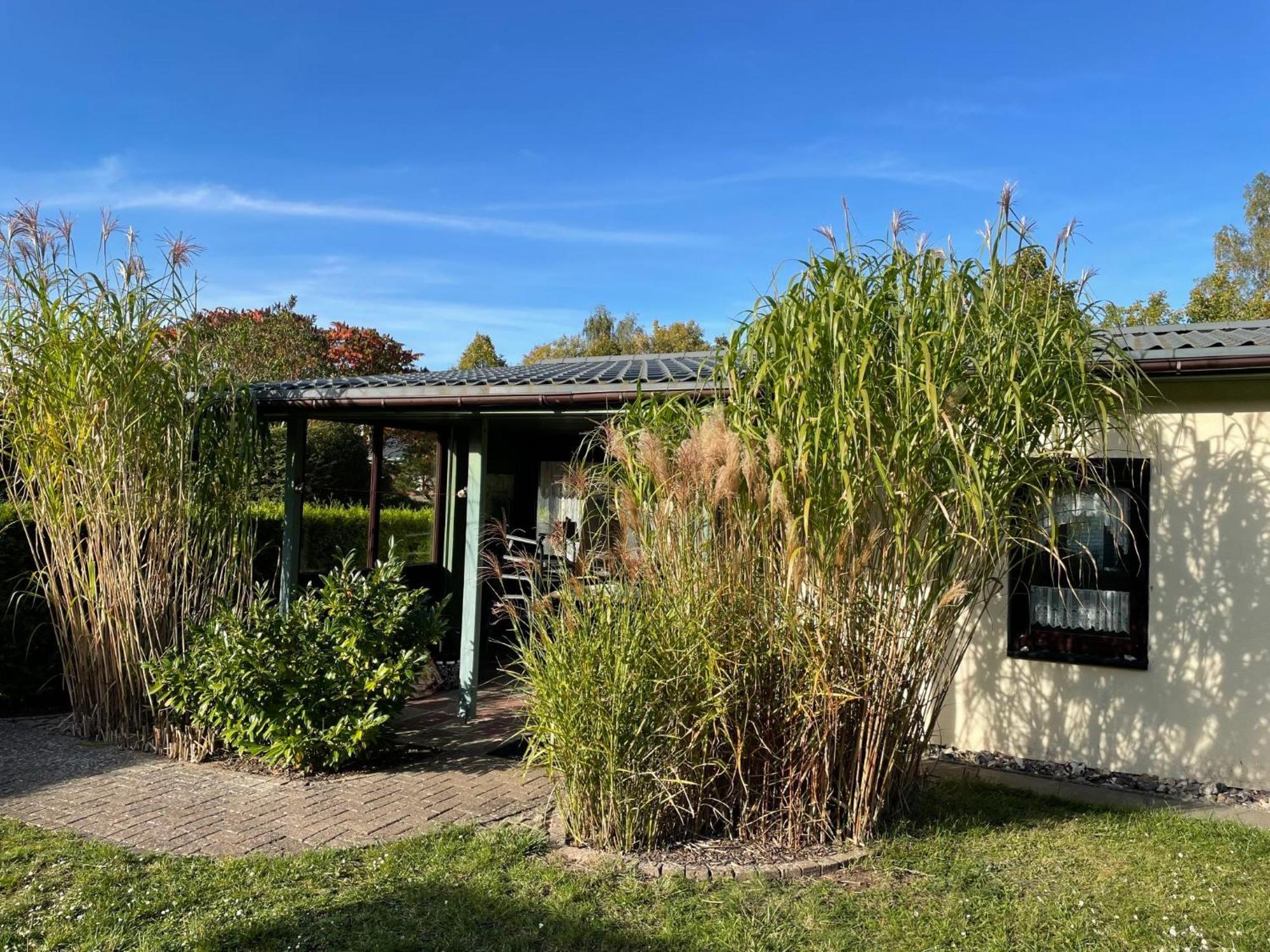 Holiday Home Am Walde-1 By Interhome Dobbertin Exterior photo